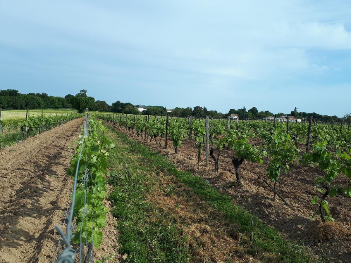 Escapade Entre Vignes Et Mer Corme-Royal Exteriér fotografie